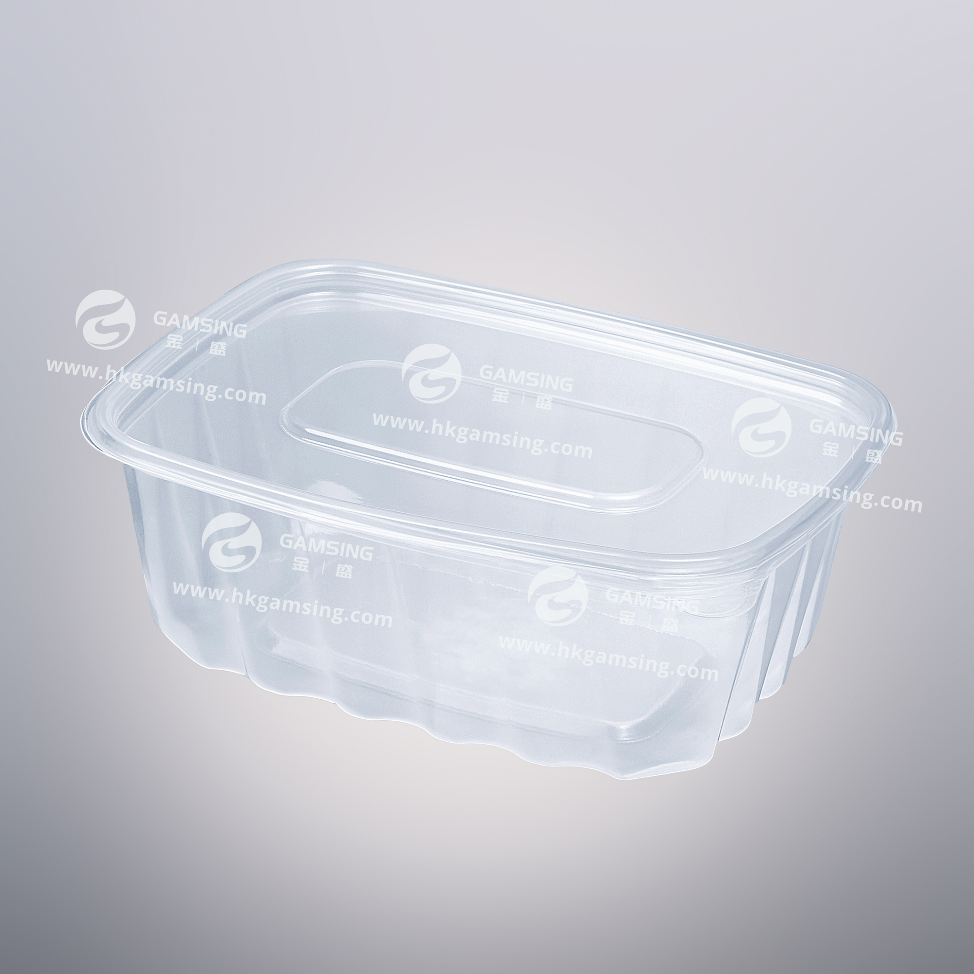 1000ml PP Plastic Rectangular Takeout Food Container With Lid - Version 1