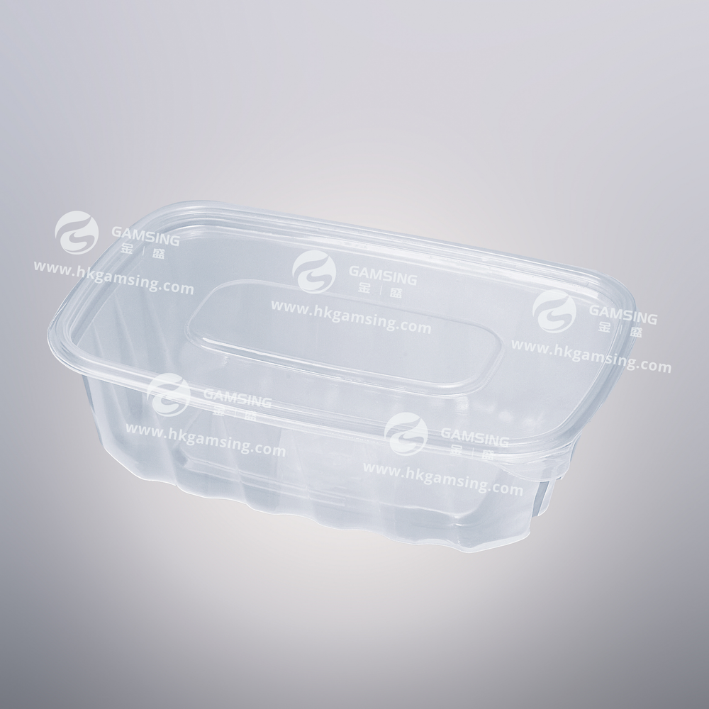 750ml PP Plastic Rectangular Takeout Food Container With Lid post image